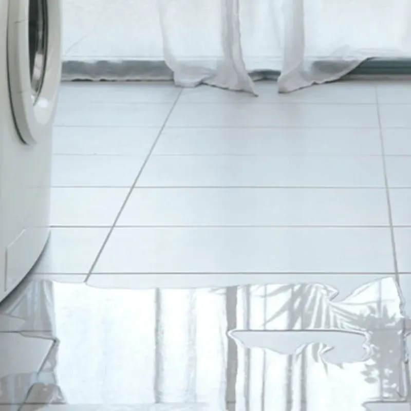 Appliance Leak Cleanup in Floyd, VA