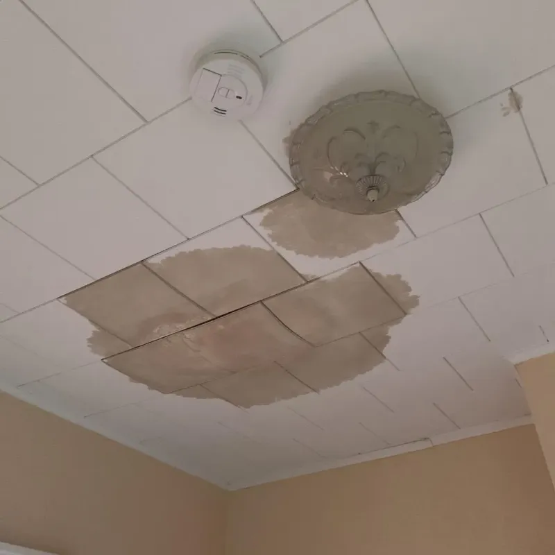 Ceiling Water Damage Repair in Floyd, VA