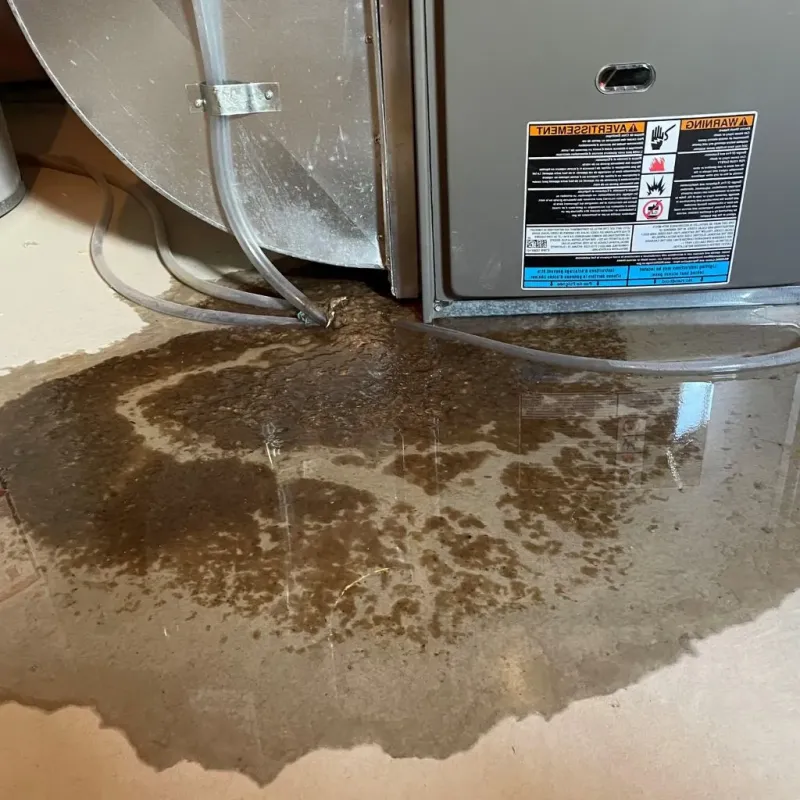 Pipe Burst and Leak Restoration in Floyd, VA