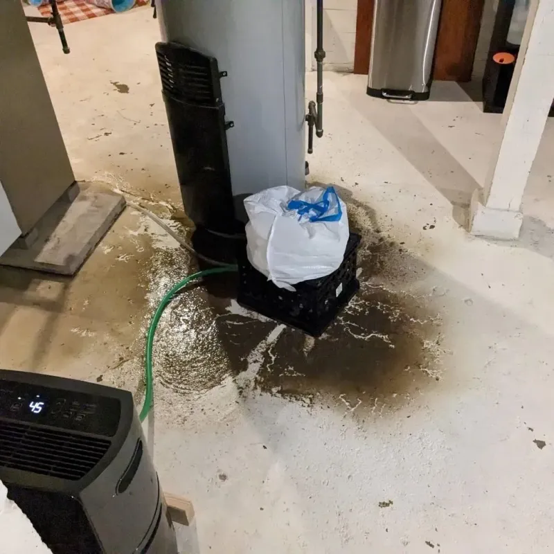 Sewage Backup Cleanup Service in Floyd, VA